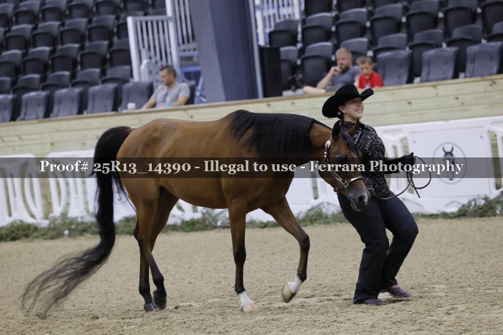 Proof 25R13_14390
