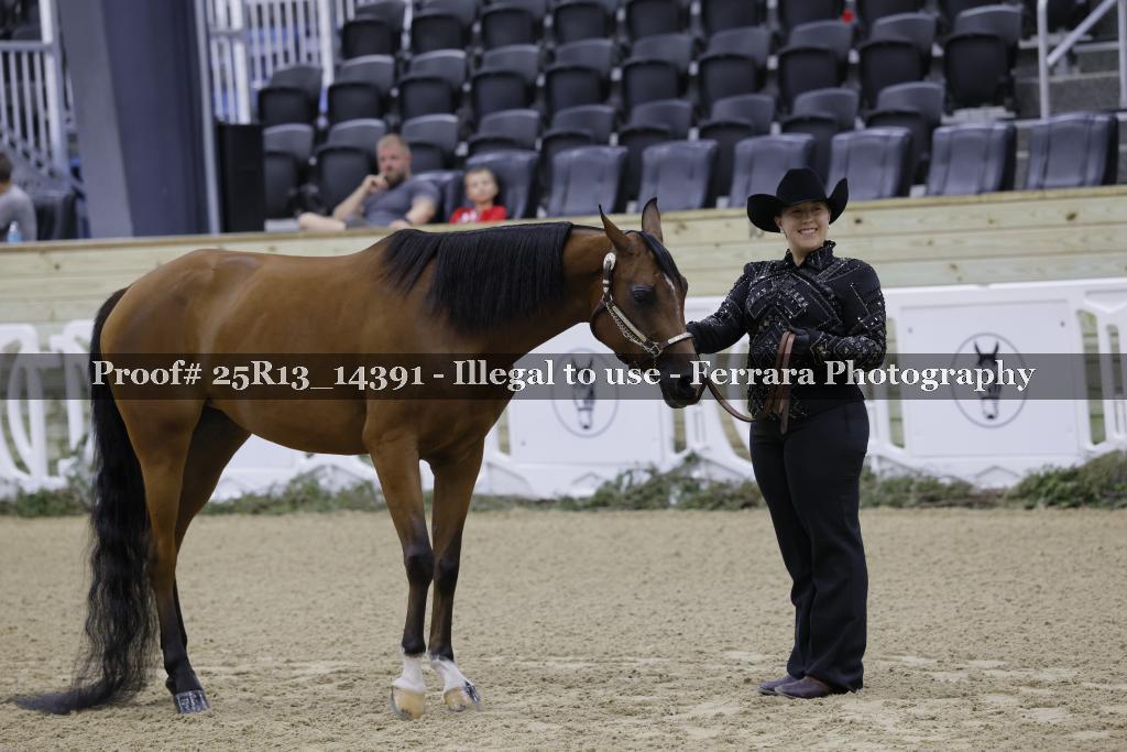 Proof 25R13_14391