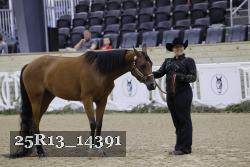 25R13_14391 proof