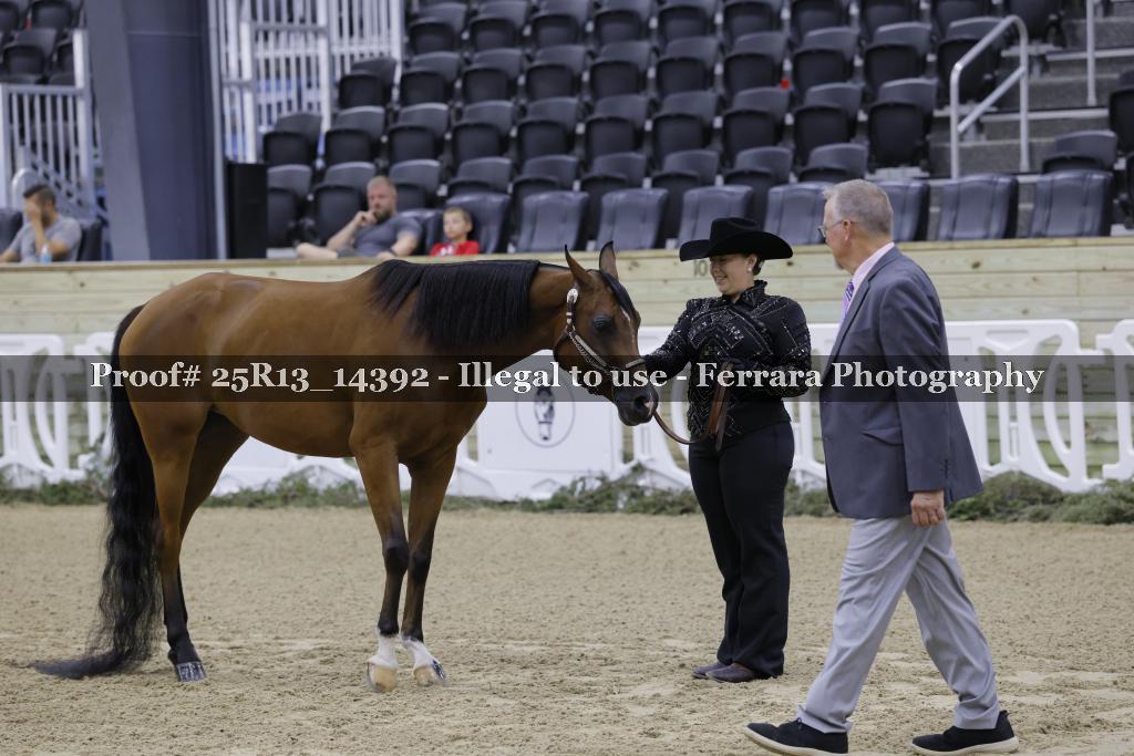 Proof 25R13_14392