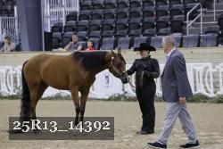 25R13_14392 proof