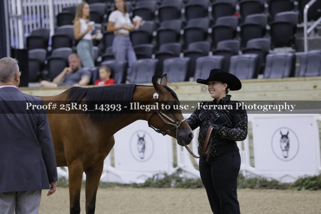 Proof 25R13_14393