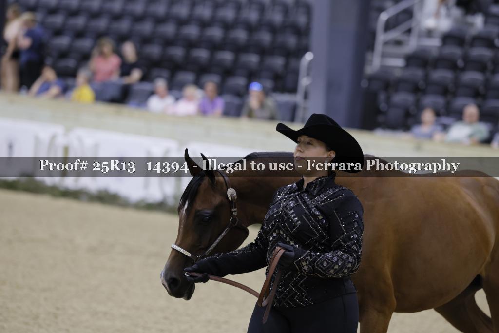Proof 25R13_14394