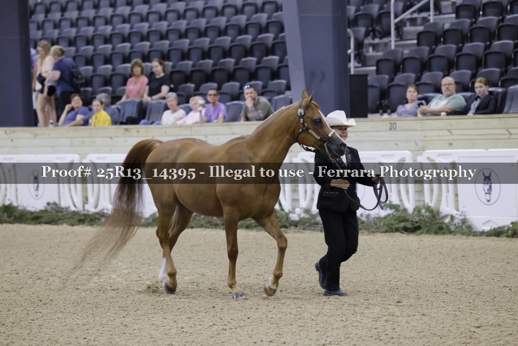 Proof 25R13_14395