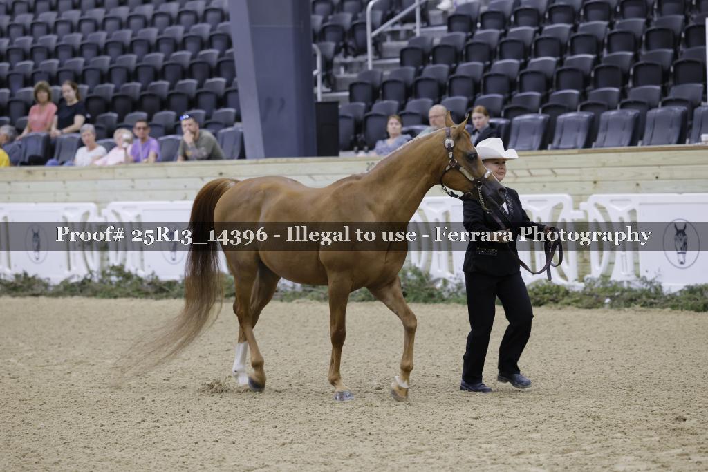 Proof 25R13_14396