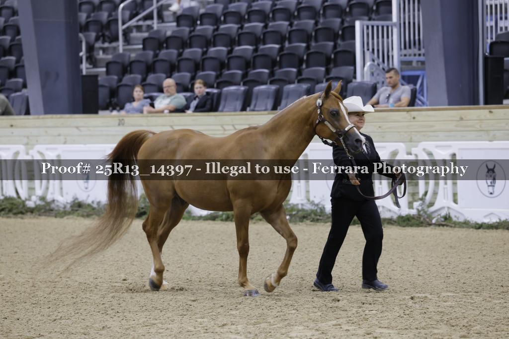 Proof 25R13_14397