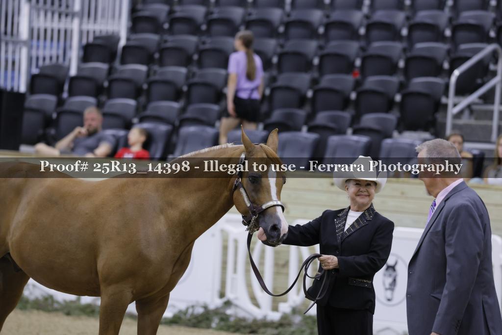 Proof 25R13_14398