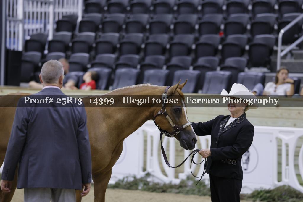 Proof 25R13_14399
