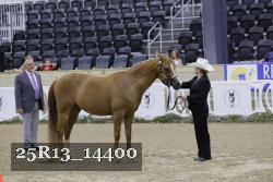 25R13_14400 proof