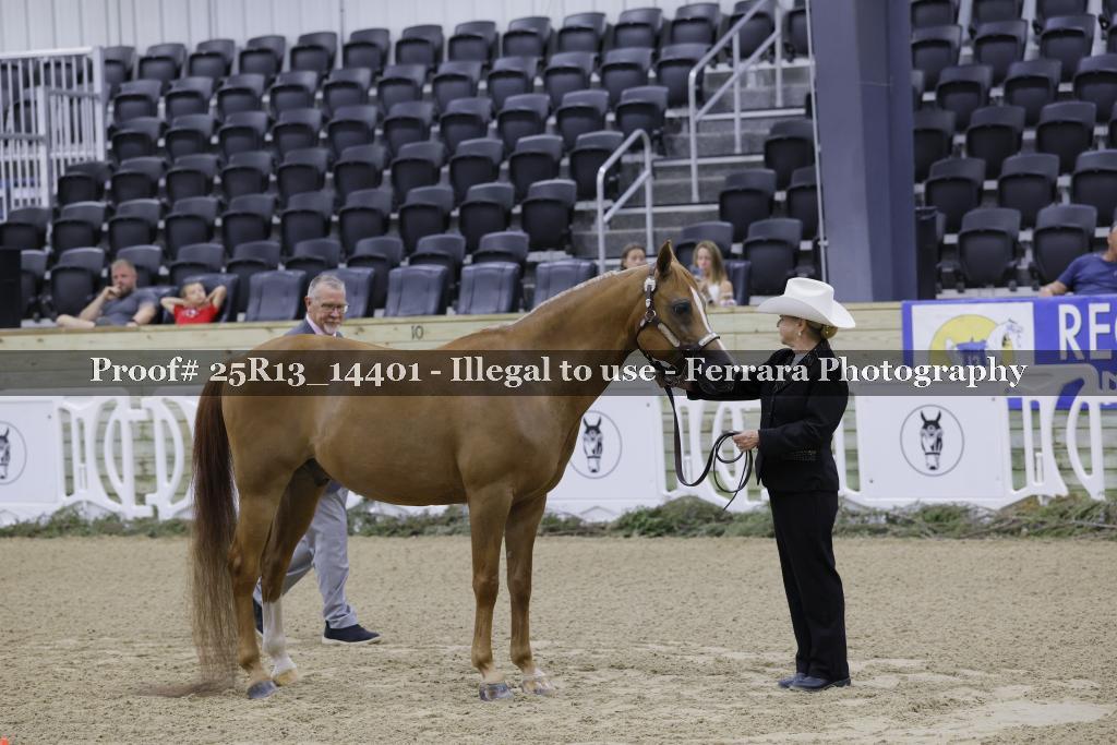 Proof 25R13_14401