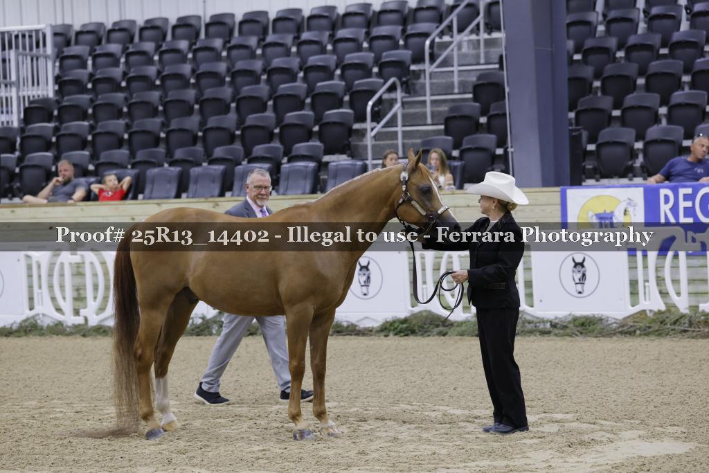 Proof 25R13_14402