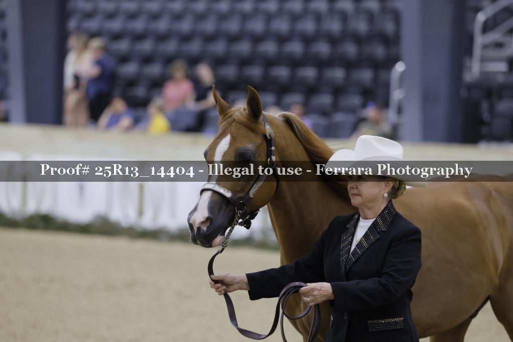 Proof 25R13_14404