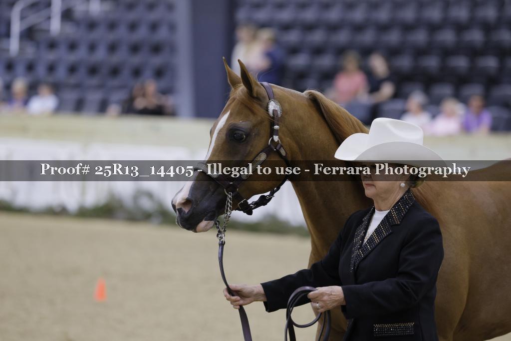 Proof 25R13_14405