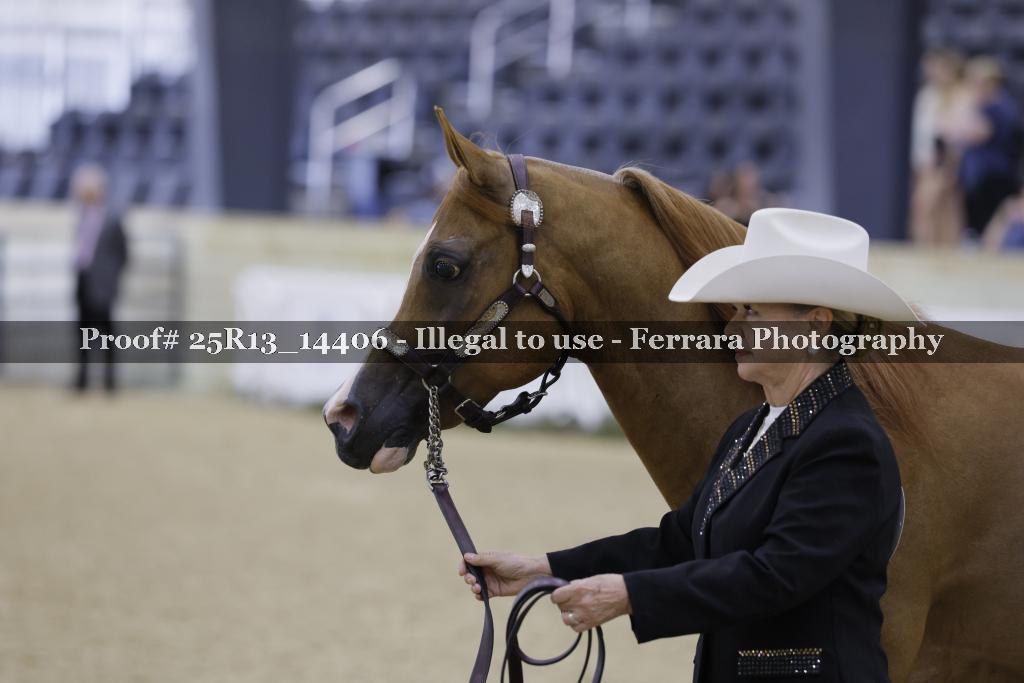 Proof 25R13_14406