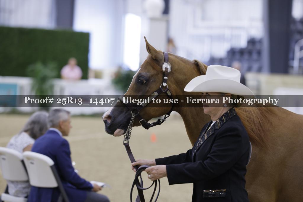 Proof 25R13_14407