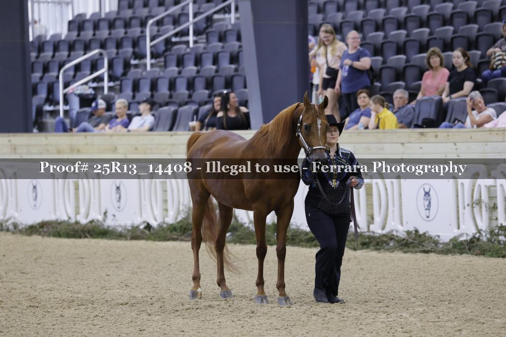 Proof 25R13_14408
