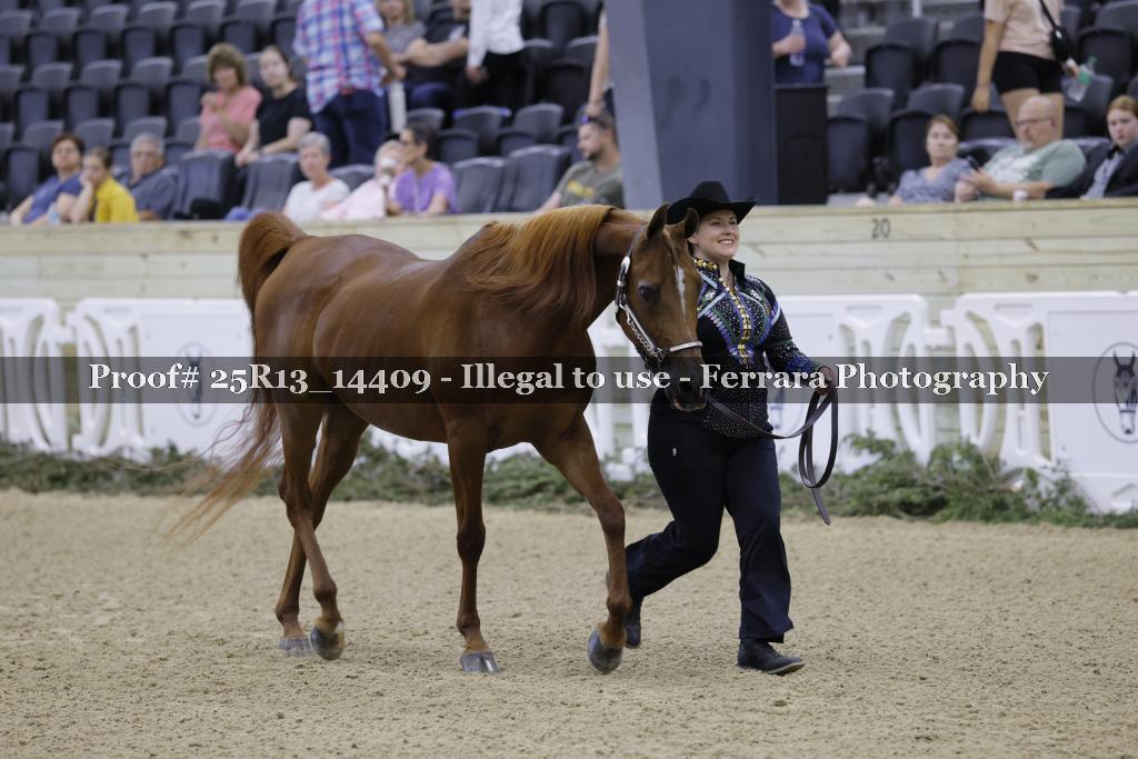 Proof 25R13_14409