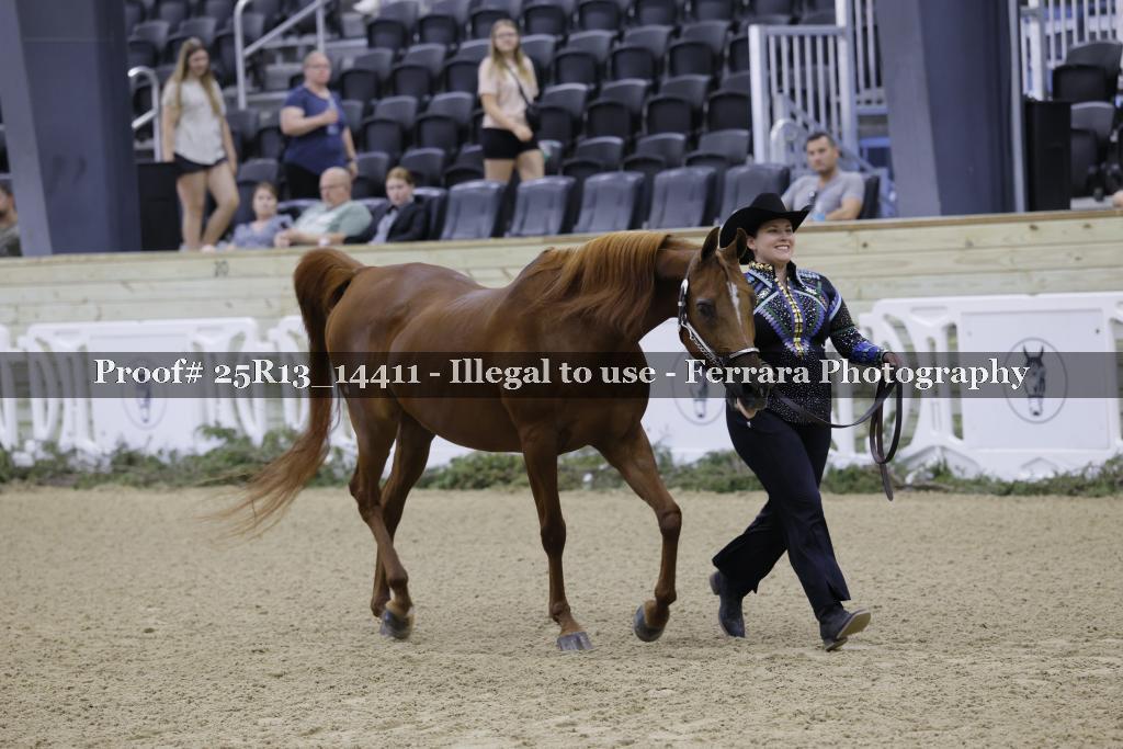 Proof 25R13_14411