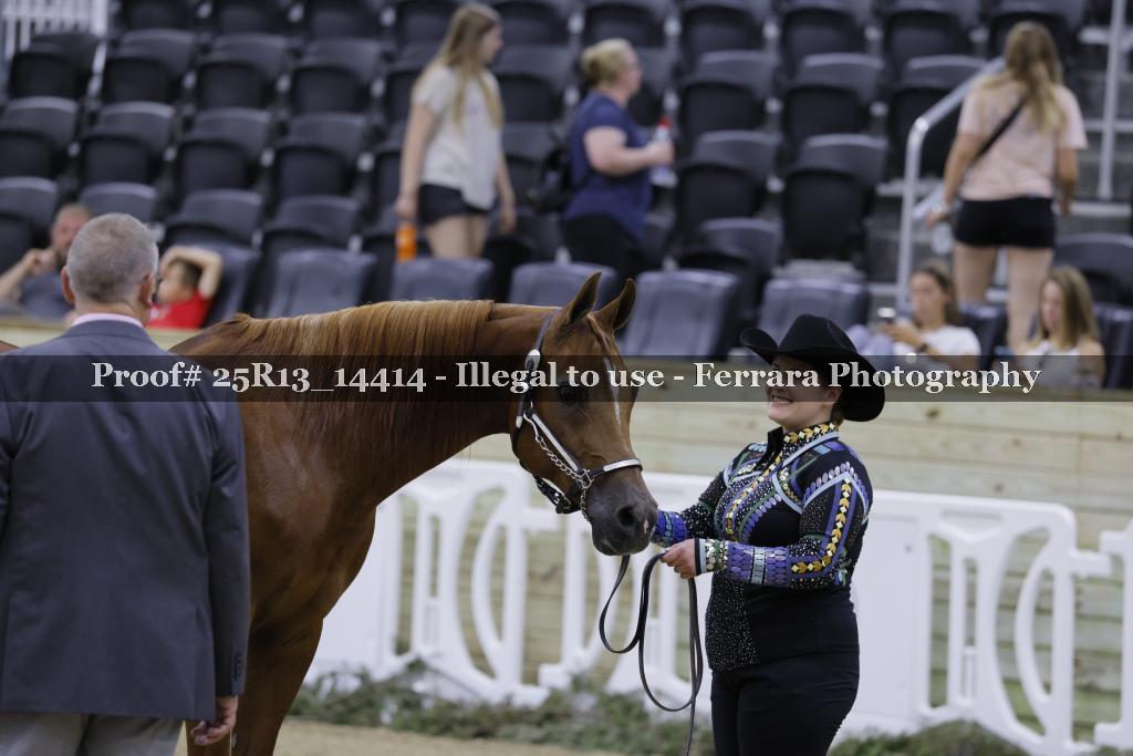 Proof 25R13_14414