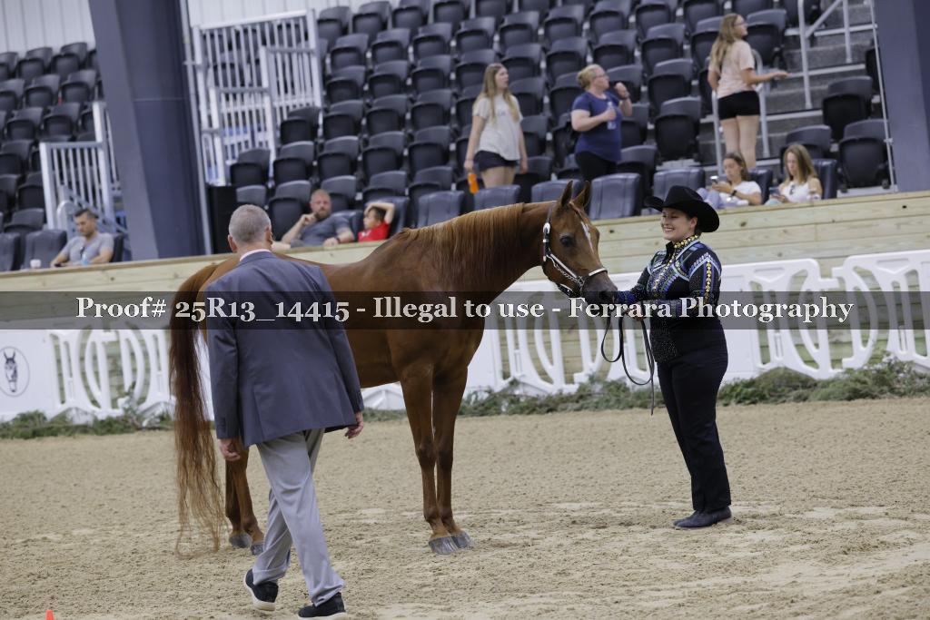 Proof 25R13_14415