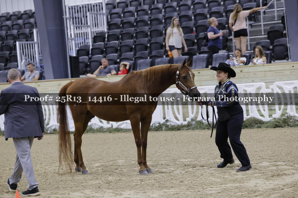 Proof 25R13_14416