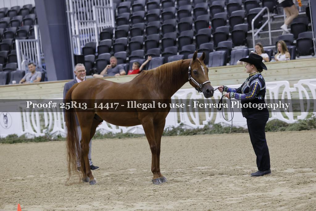 Proof 25R13_14417