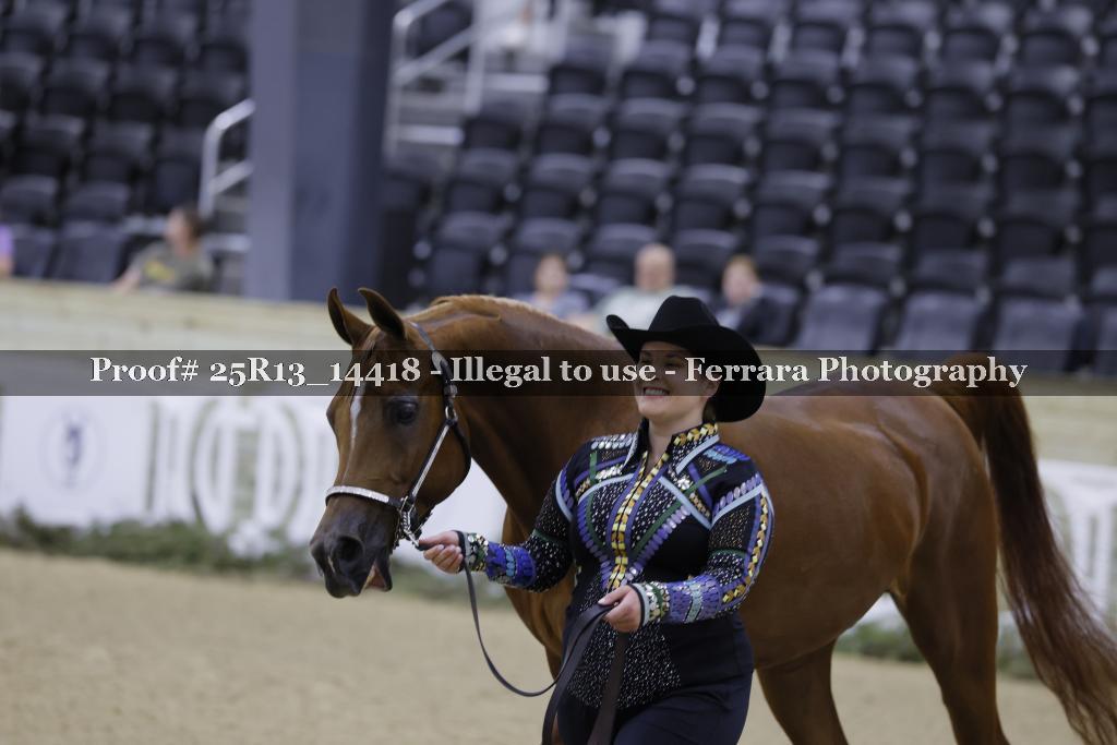 Proof 25R13_14418
