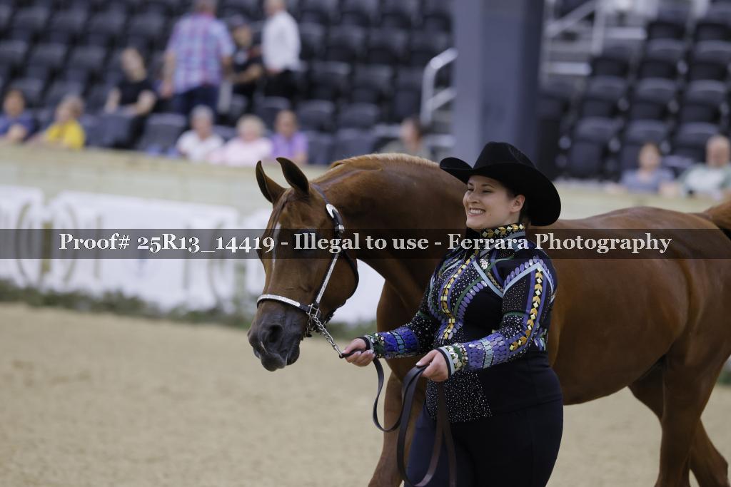 Proof 25R13_14419