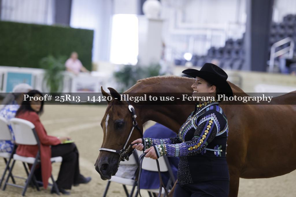 Proof 25R13_14420