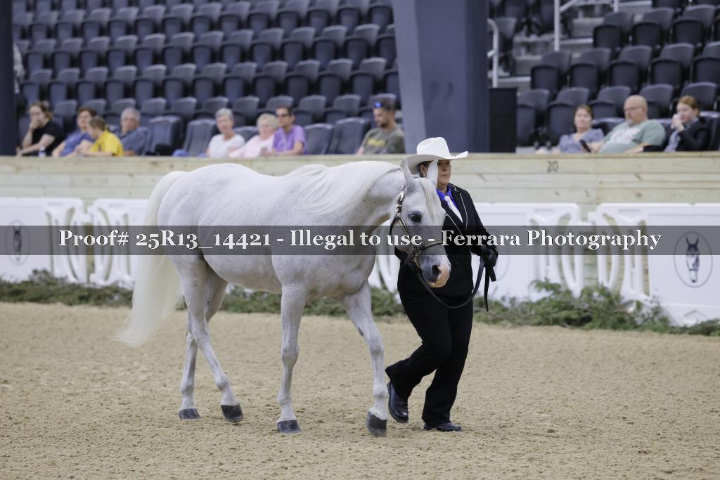 Proof 25R13_14421