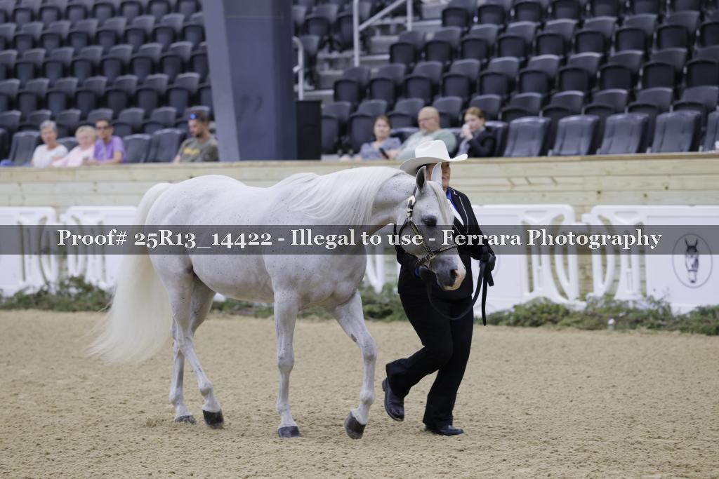 Proof 25R13_14422