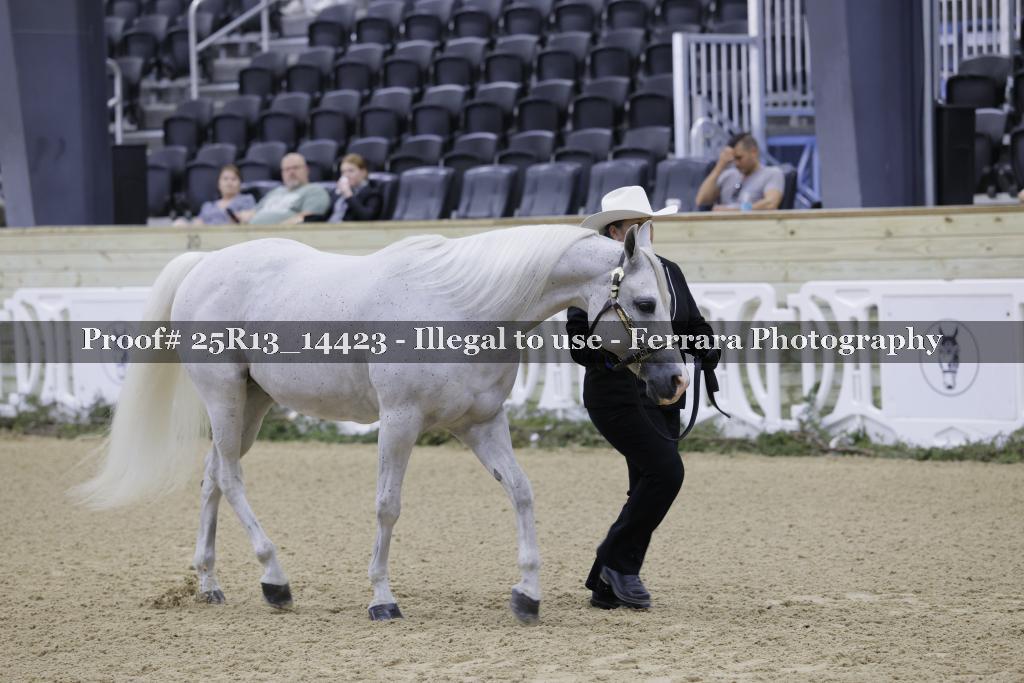 Proof 25R13_14423