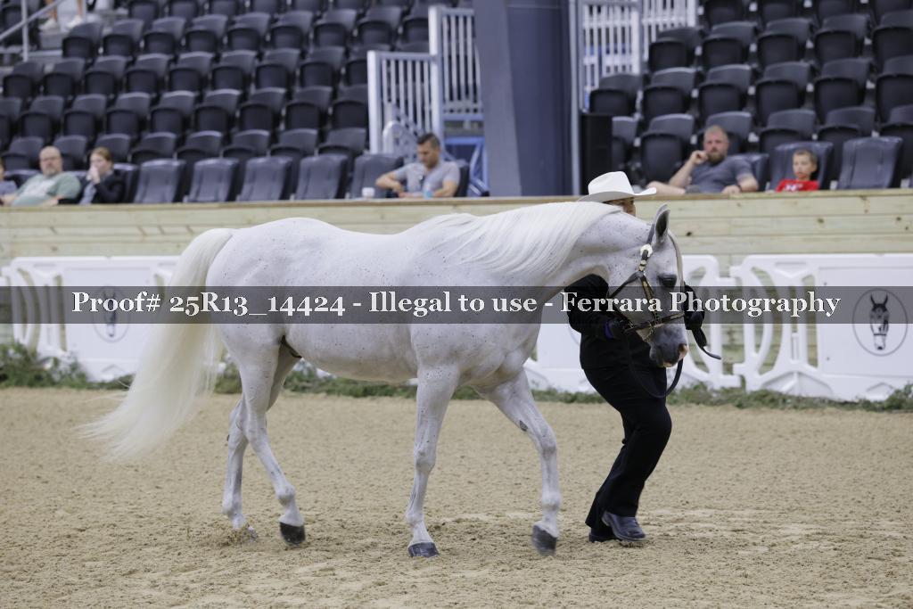 Proof 25R13_14424