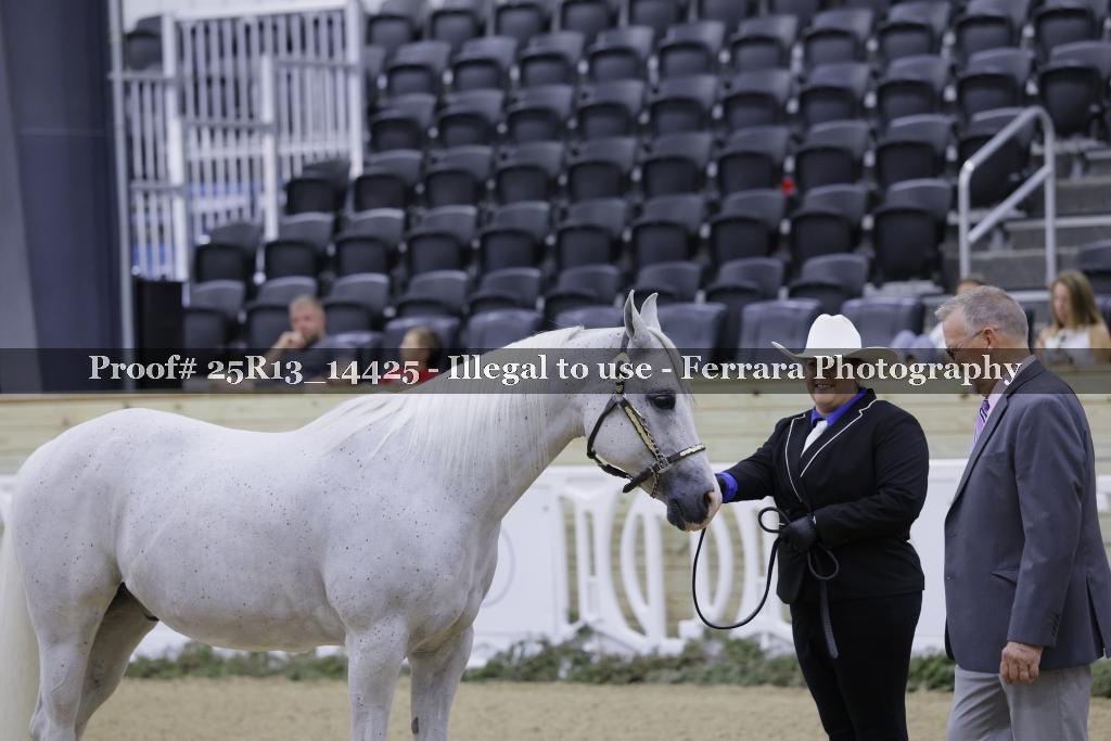 Proof 25R13_14425