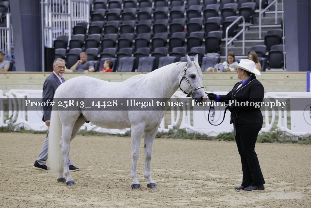 Proof 25R13_14428