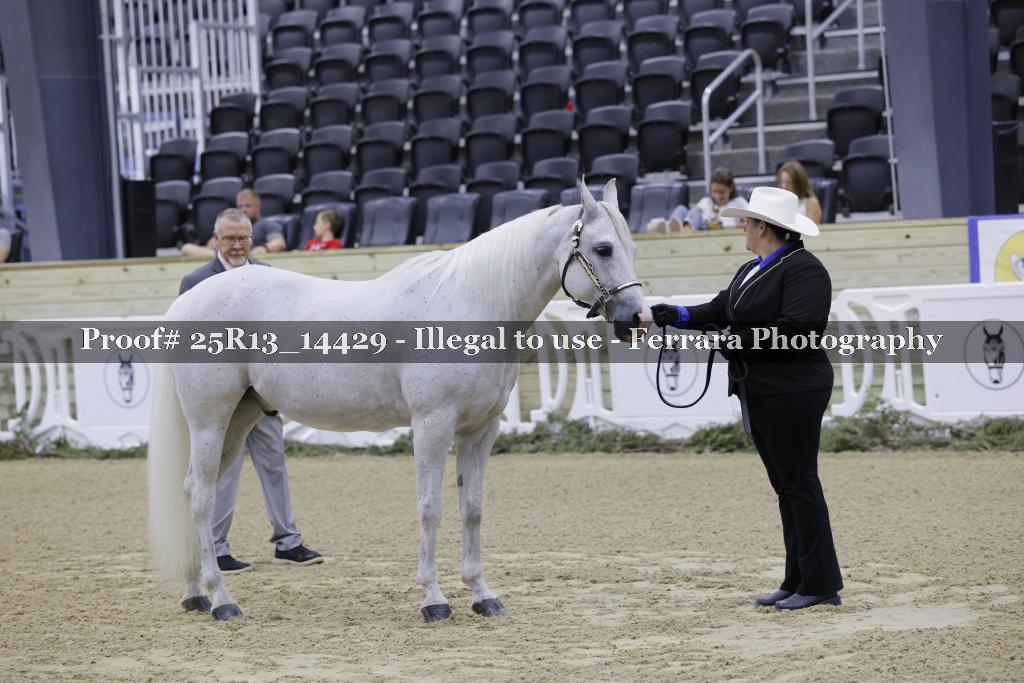 Proof 25R13_14429