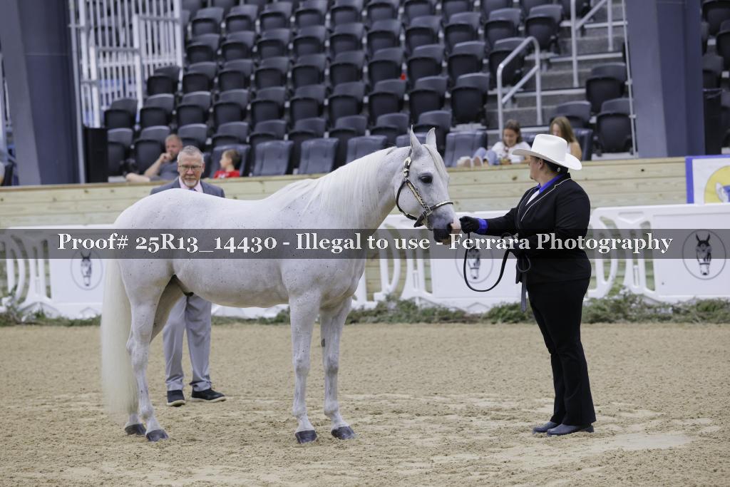 Proof 25R13_14430