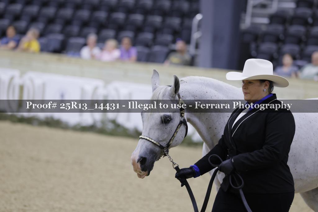 Proof 25R13_14431