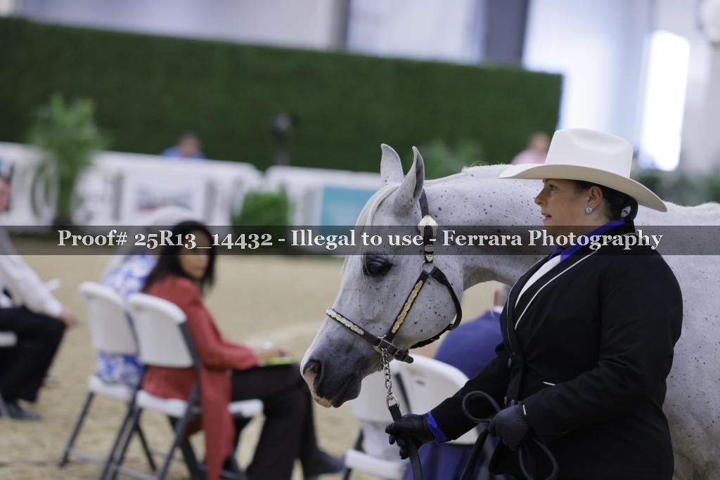 Proof 25R13_14432