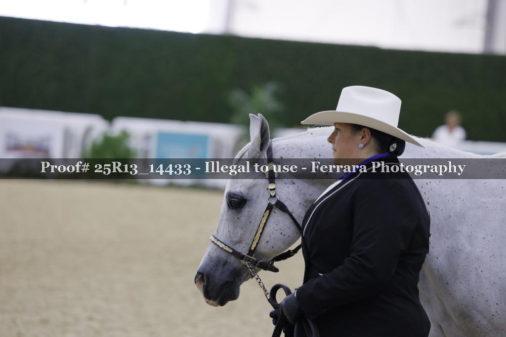 Proof 25R13_14433