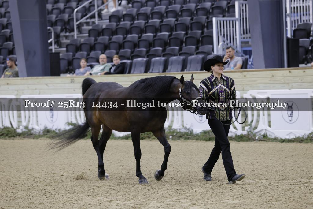 Proof 25R13_14434