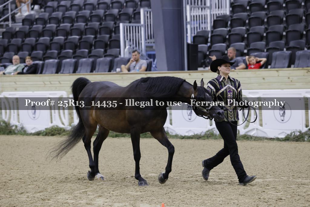 Proof 25R13_14435