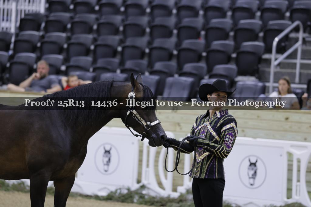 Proof 25R13_14436