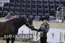 25R13_14436 proof