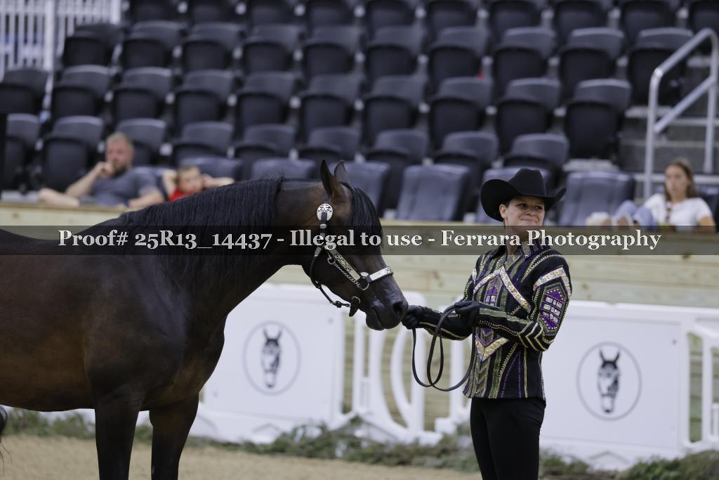 Proof 25R13_14437