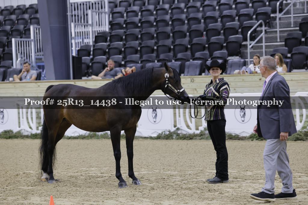 Proof 25R13_14438