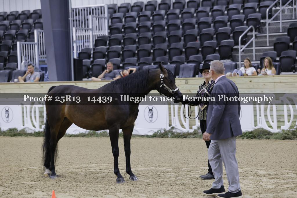 Proof 25R13_14439