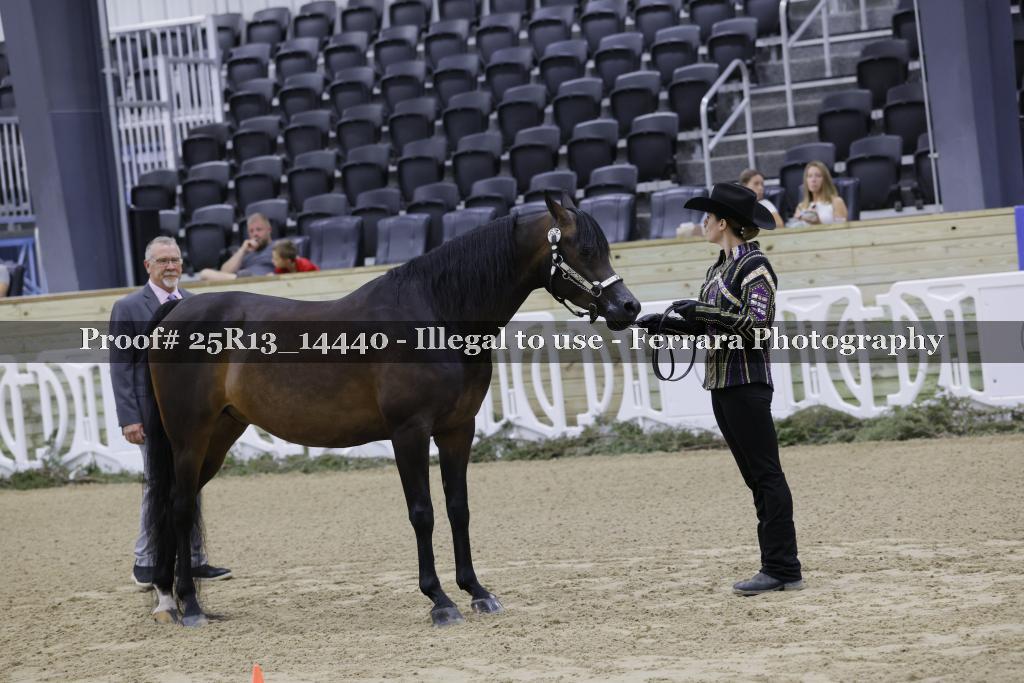Proof 25R13_14440