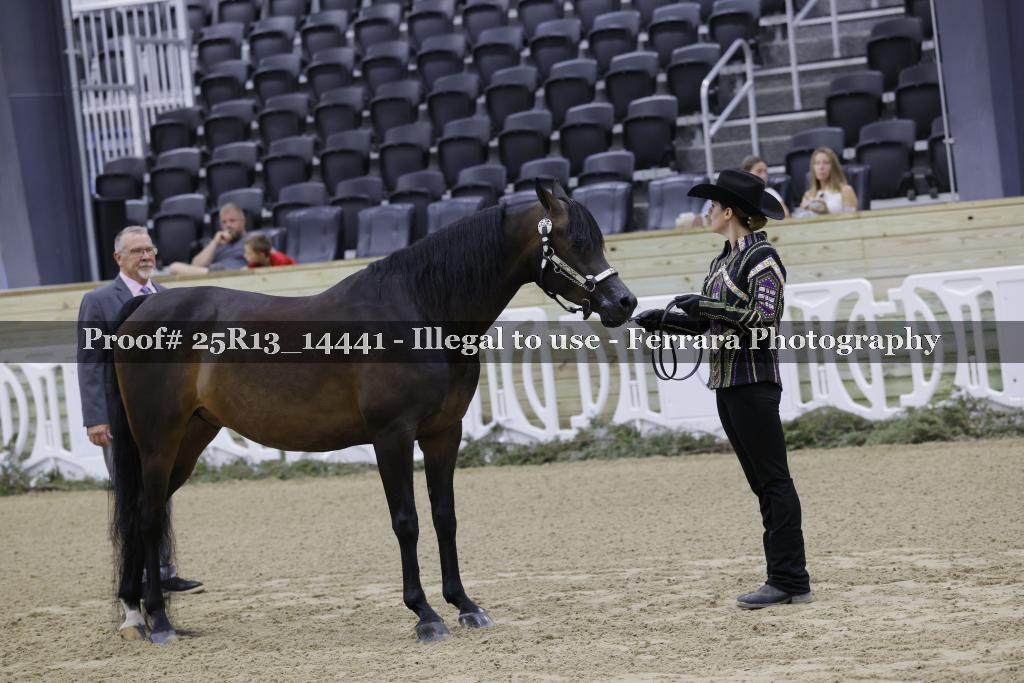 Proof 25R13_14441