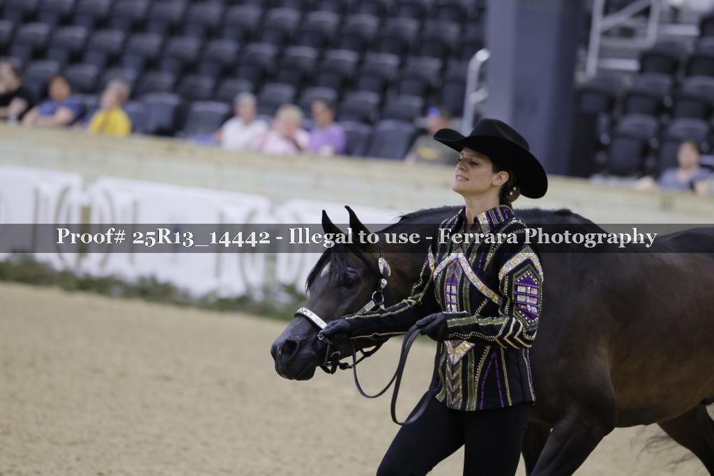 Proof 25R13_14442
